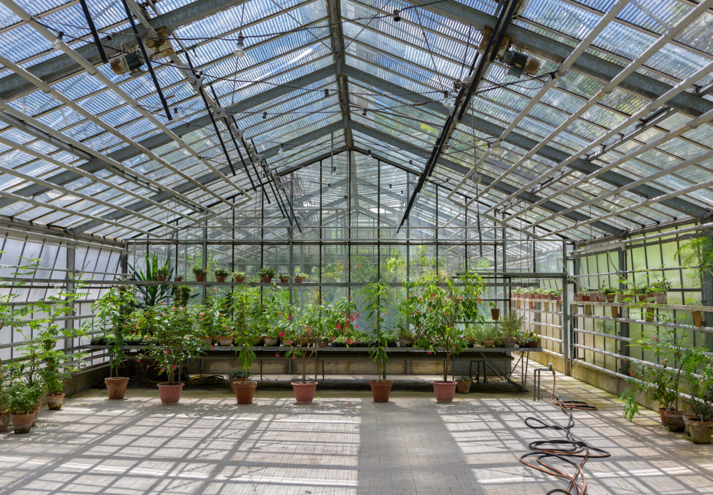 Revolutionizing Agriculture: The Future of Food Production with Greenhouse Technology