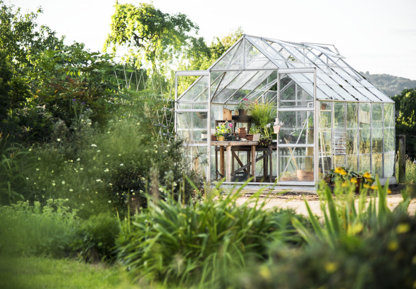 Glass greenhouse